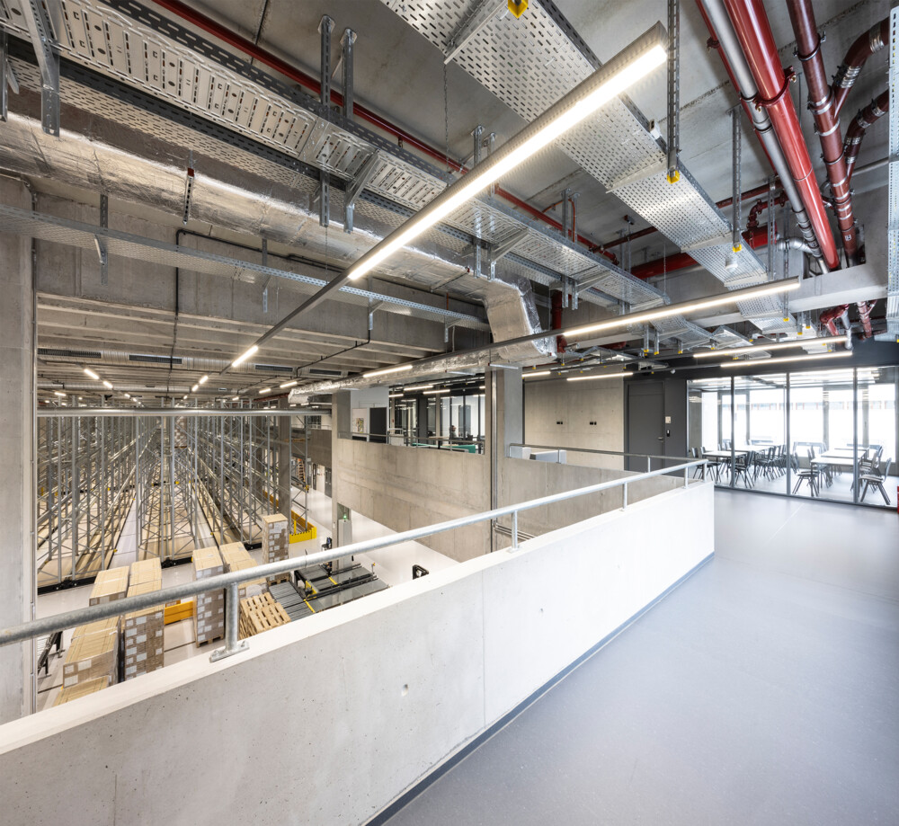 BBraun Active Plant Extension